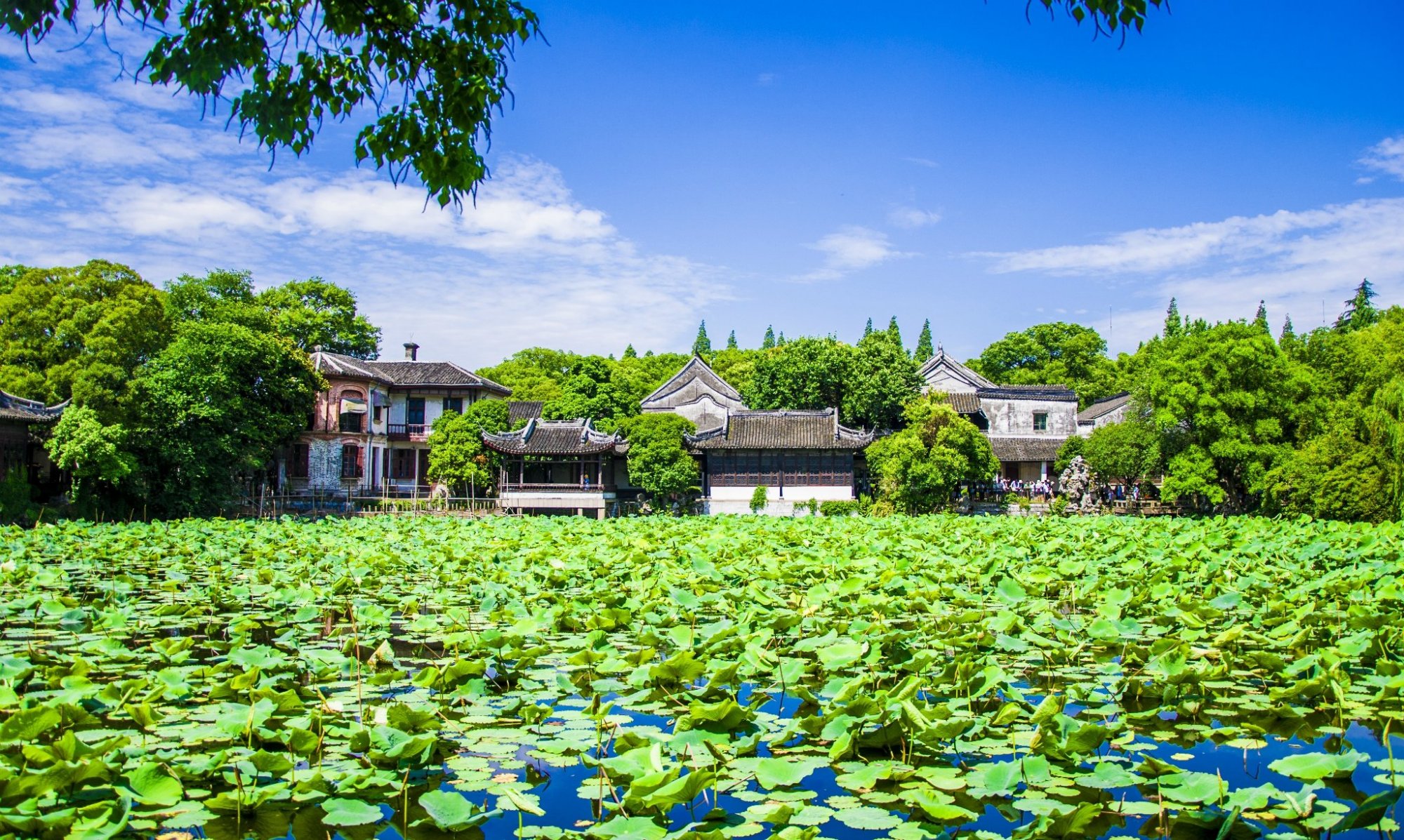 原创浙江最美的私家园林曾经是江南巨富的私人豪宅耗时40年才建成