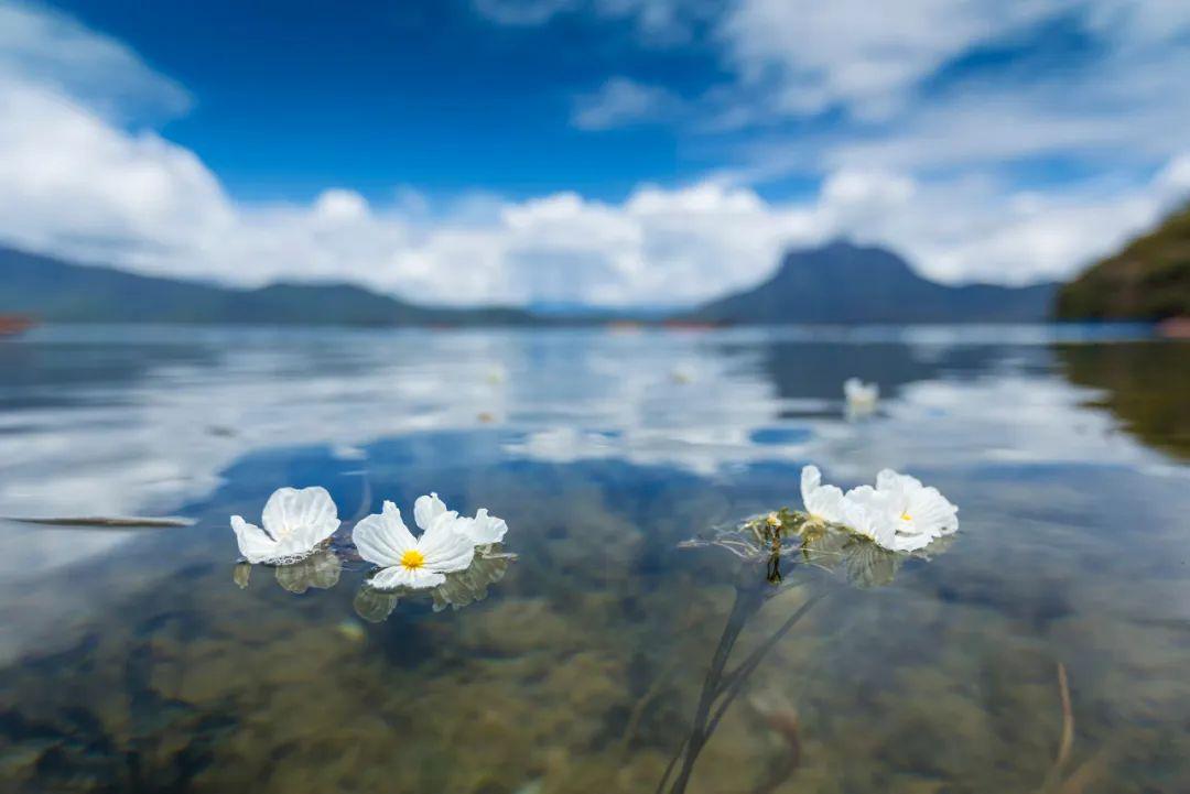 中國最水性楊花的地方,每年都有100萬人搶著去._瀘沽湖