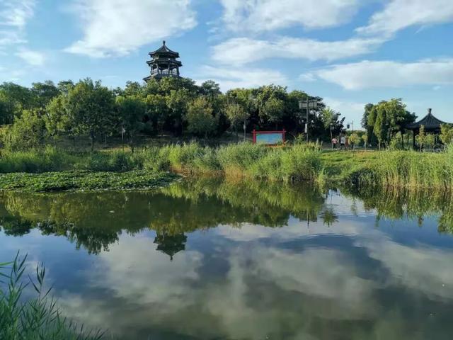 这就是我们的家乡——河间!_公园