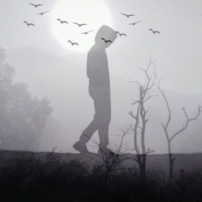 我只是喜欢一个人