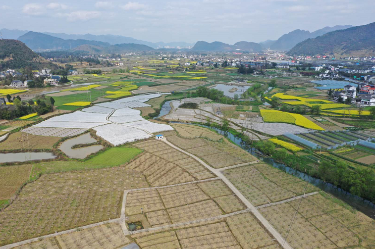 蒲场镇坝区山区产业发展齐头并进
