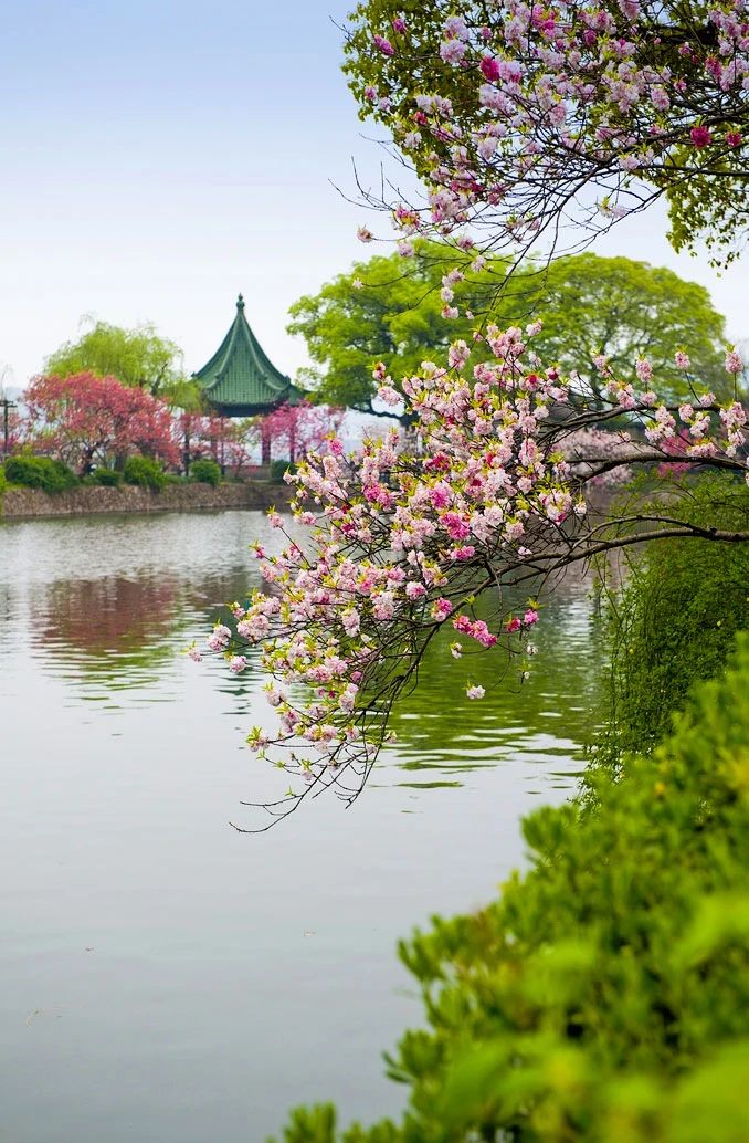 还有美味让人垂涎三尺春天的江南除了春色小桥流水,粉墙黛瓦草长莺飞