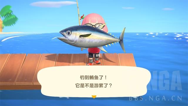 集合啦动物森友会评测家是朴实的记忆家是温暖的归属