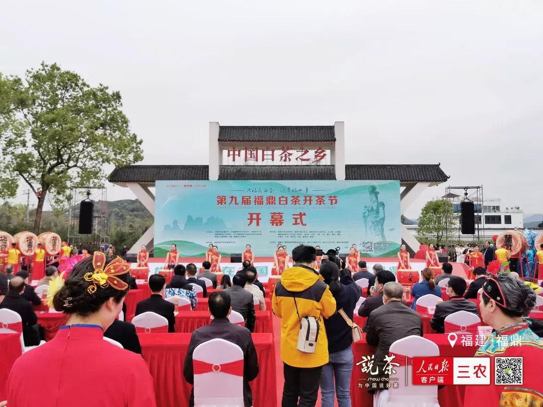 兴福鼎白茶迎幸福小康第九届福鼎白茶开茶节圆满落幕