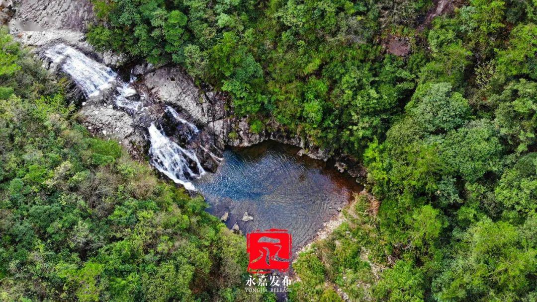 春游楠溪楠溪江源头绿意盎然春意正盛