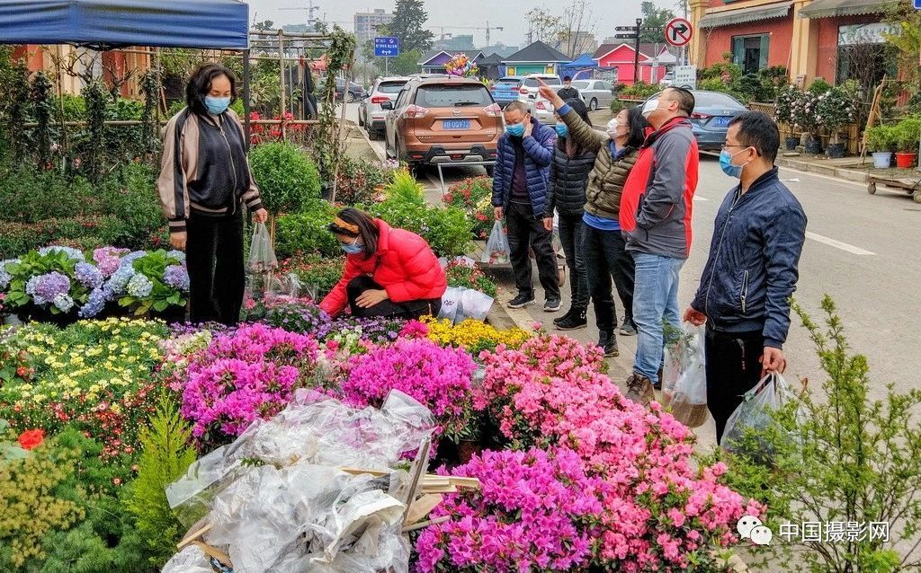 《繁忙的花市》作者:劉琳(重慶)3月15日,重慶江北區望海花市