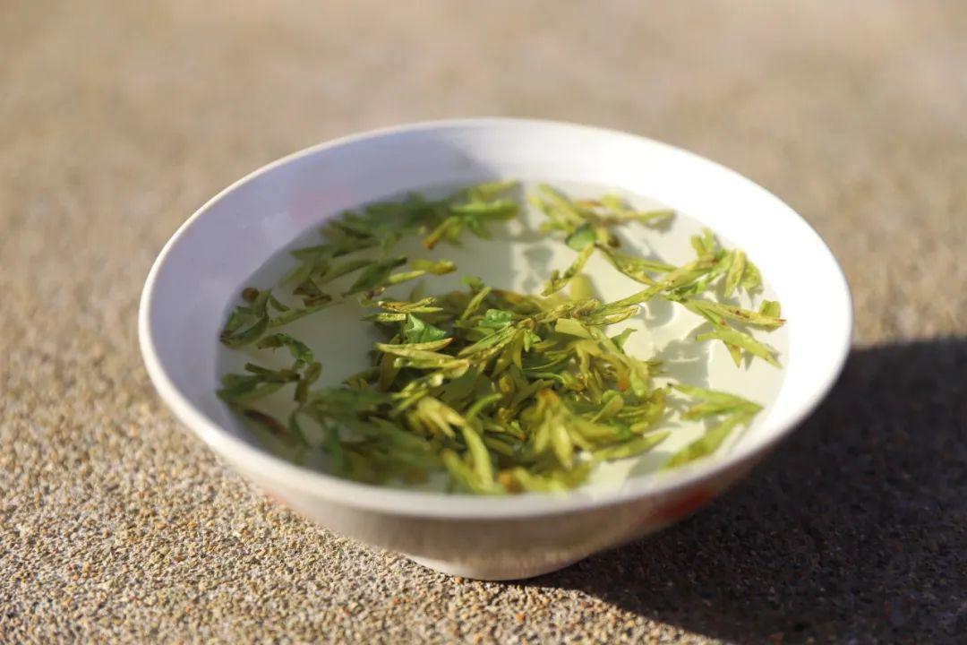 这一碗茶来自海拔410米