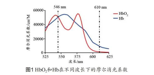 基於單鏡頭反光式相機的視網膜血氧飽和度無創測量系統