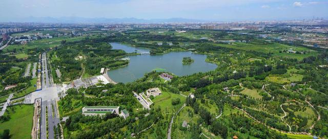 原創這裡是北京最大的溼地公園,常年免票,春天去最美