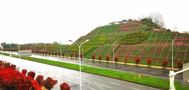 光谷古米山,悄然打翻了大自然的调色板