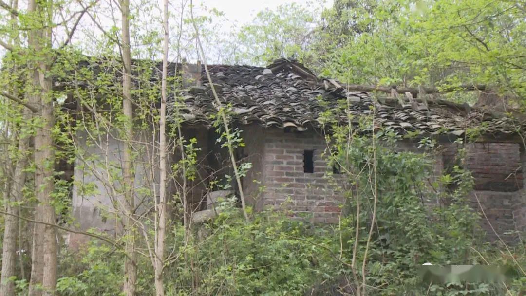 怪了乐山一间无人居住的废弃老屋晚上却总是映出灯光