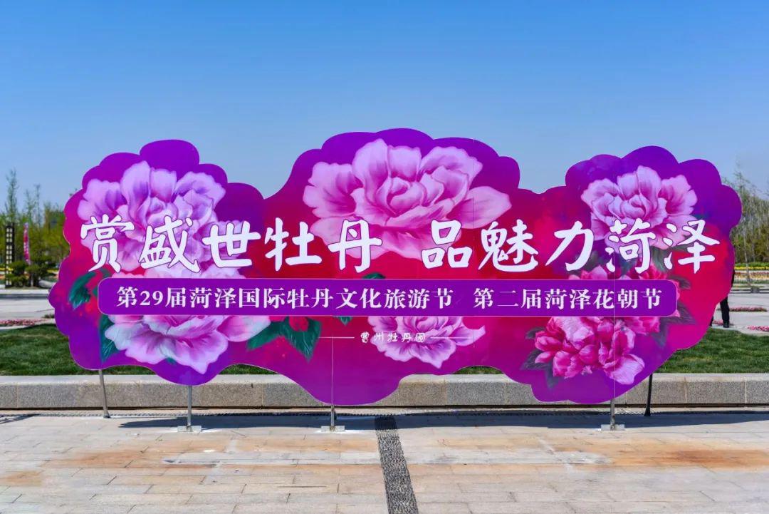 菏泽曹州牡丹园高清实拍