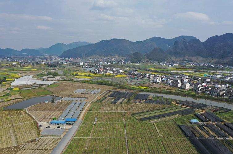 蒲场镇坝区山区产业发展齐头并进