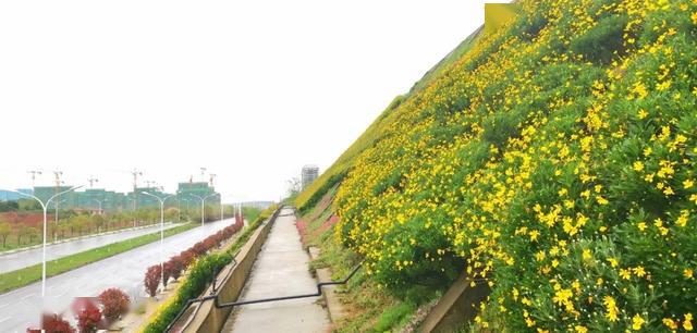 光谷古米山,悄然打翻了大自然的调色板