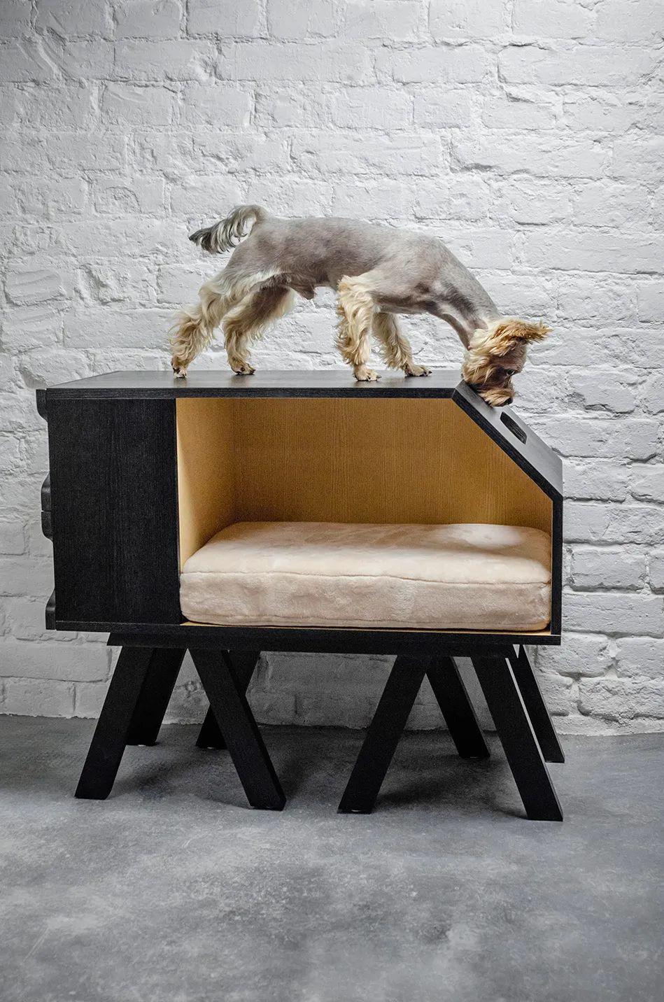 进来吸猫啦~创意宠物窝设计