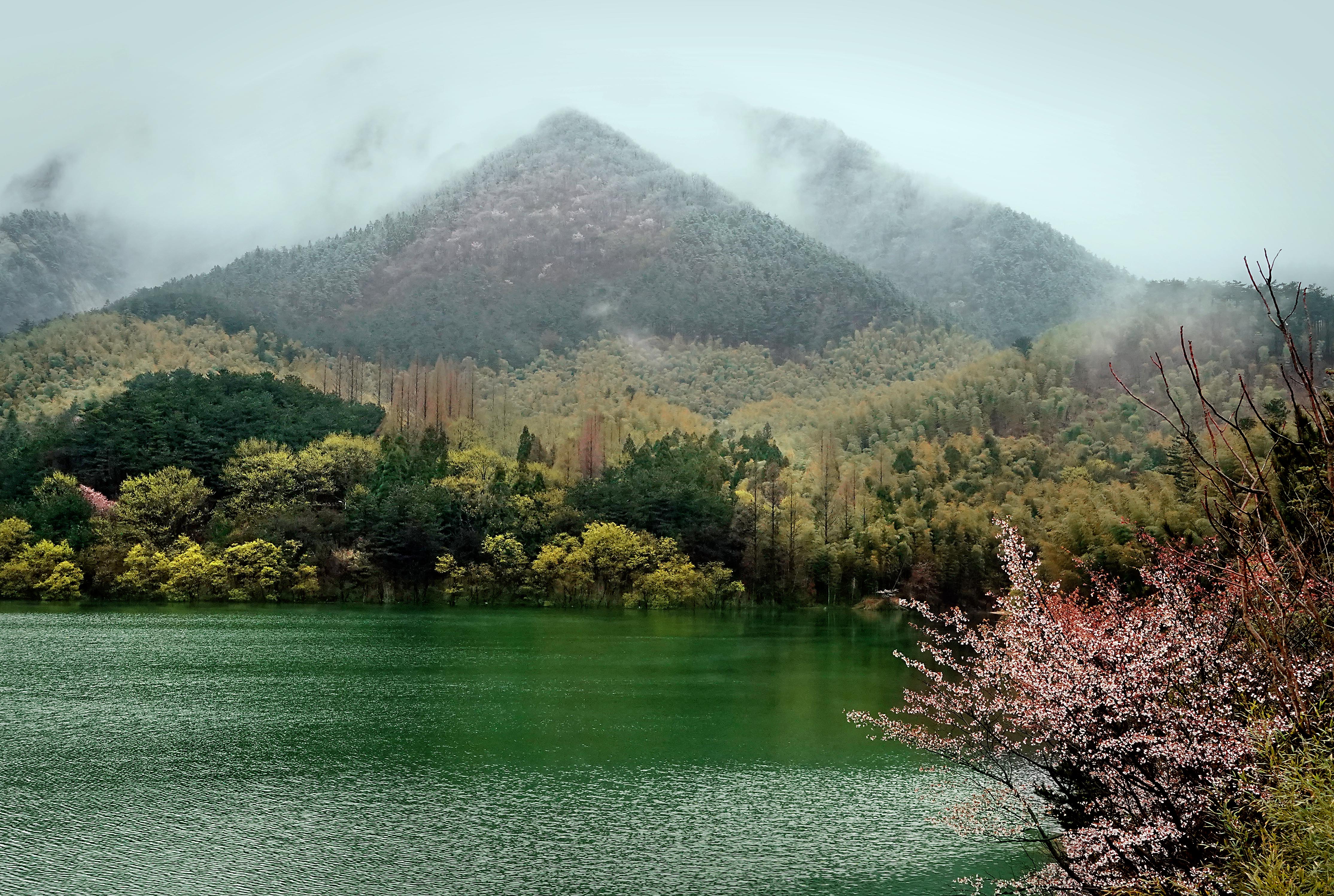 烟雨黄柏山