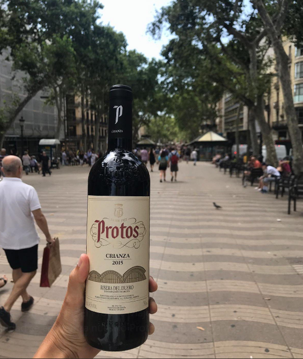 疫情之下西班牙海龟华侨热衷囤的平价酒王protos普洛托斯