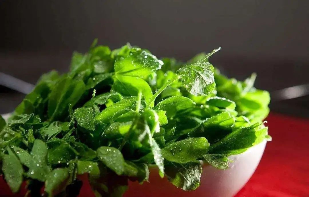 春天尝鲜涮一把豌豆尖儿巴适得很