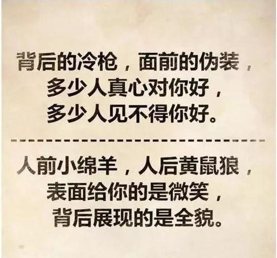 人前小绵羊