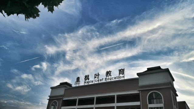在大地苏醒,万物回春的三月,愿时光不负努力,愿青春不负韶华,愿枫叶顺