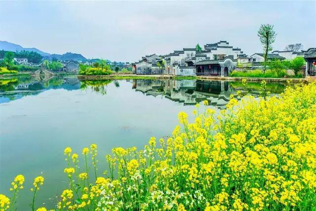 云间春色四月天江南十大赏花地