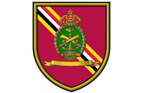 文莱人口42万华人占了4万军队兵力多达6千苏丹是五星上将军衔体现皇权