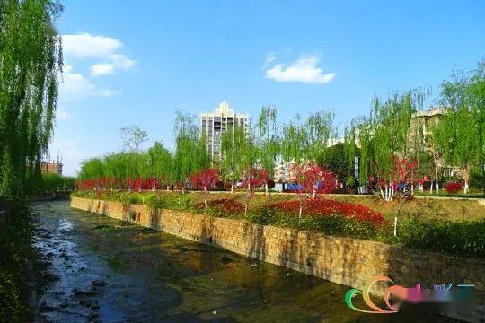 靖安新区利济河畔春意正浓不负春光