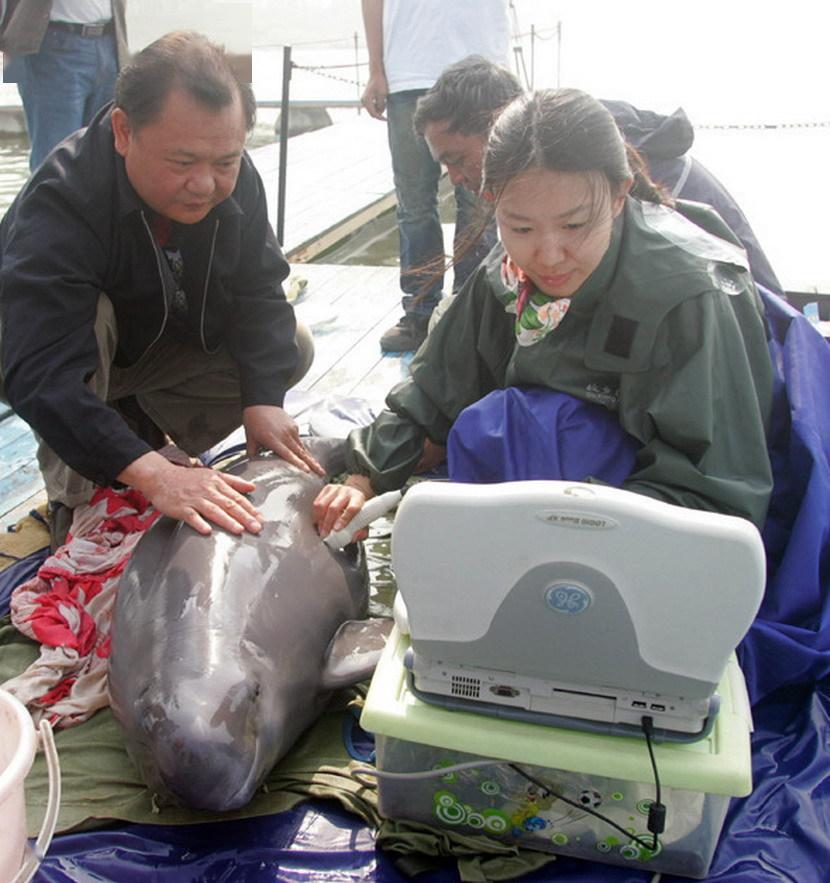 江豚时出戏惊波忽荡漾