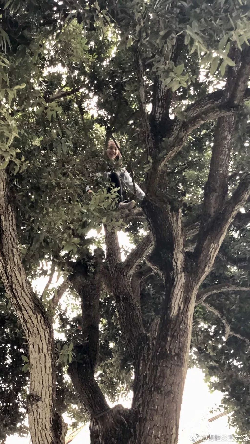 原创16岁混血美少女放弃美籍代表中国出战品学兼优谷爱玲