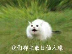 怼群主群聊表情包我们群主敢自豪中我不敢待会就把你踢了