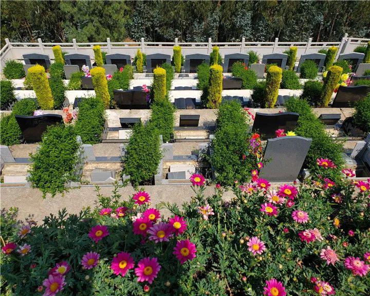 加强祭扫流量监测 合理安排祭扫时间清明期间,大理市各公墓将会加强