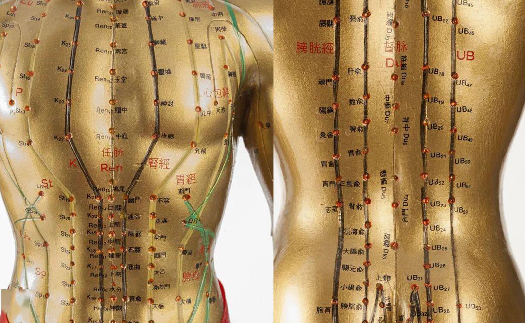 任督二脉上藏着几个长寿穴这些黄金长寿穴位你都了解吗