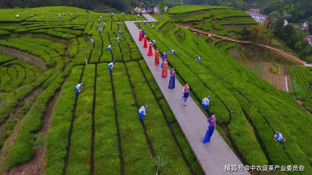 湖北英山縣長帶