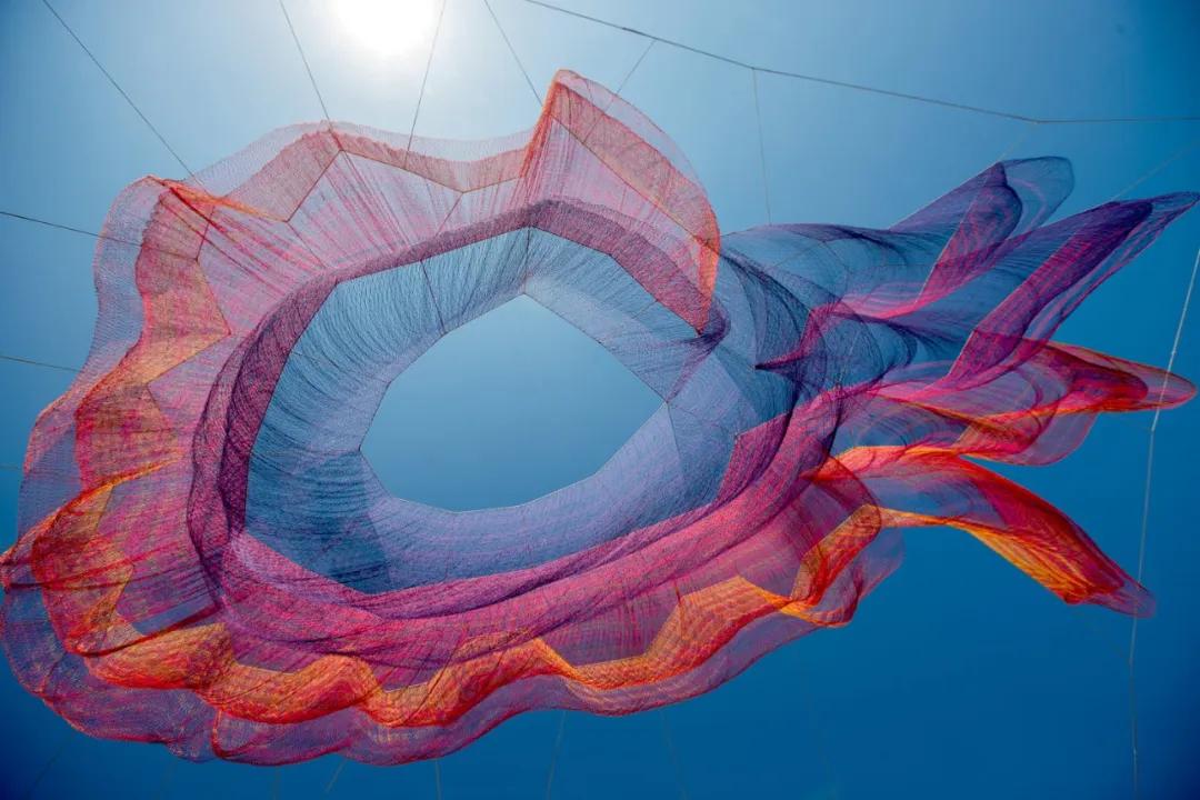 申请7所艺校被拒从未学过设计的她用一张渔网惊艳全世界成功登上ted