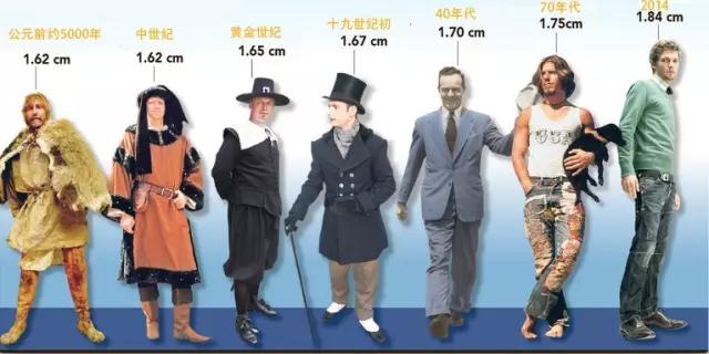 荷兰人平均身高图片