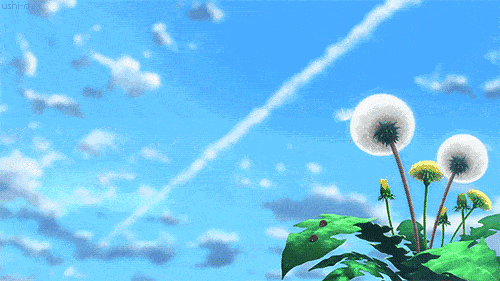 500_281gif 动态图 动图