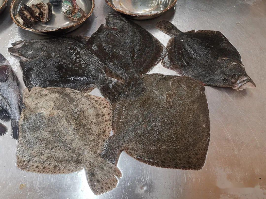 青岛海鲜哪里强团岛农贸大市场