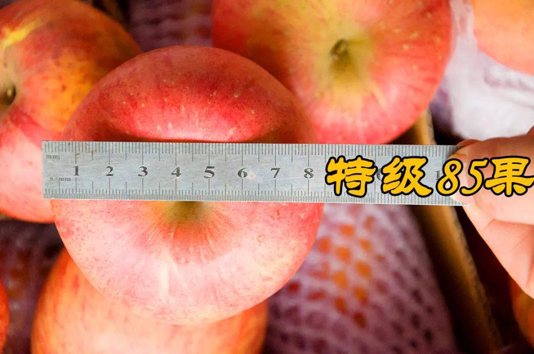 ޵Ź崨ؼʿƻ858075ػ
