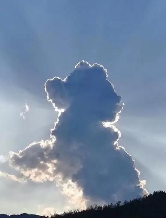 是狗狗还是云大自然中的美丽小动物云