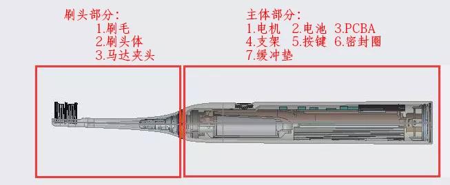 罗曼电动牙刷拆解图图片