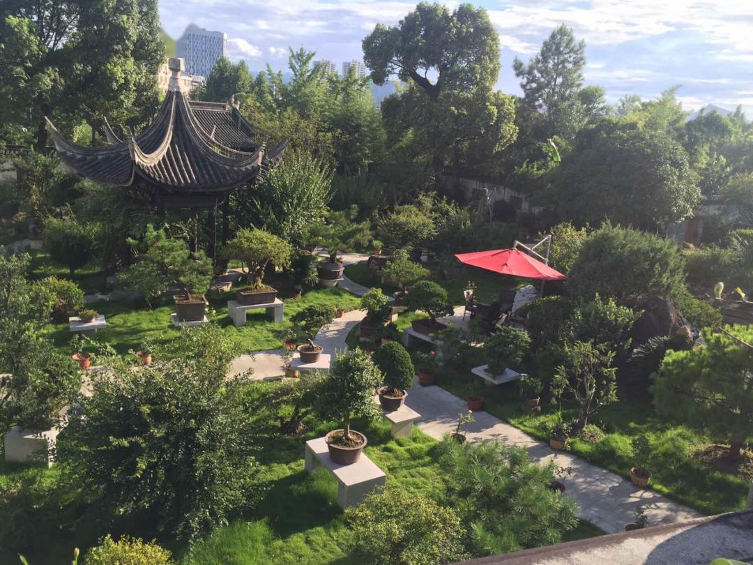 午餐万景茶庄特色素斋,午餐后回酒店休息.上午,寻访千年古寺国清讲寺.