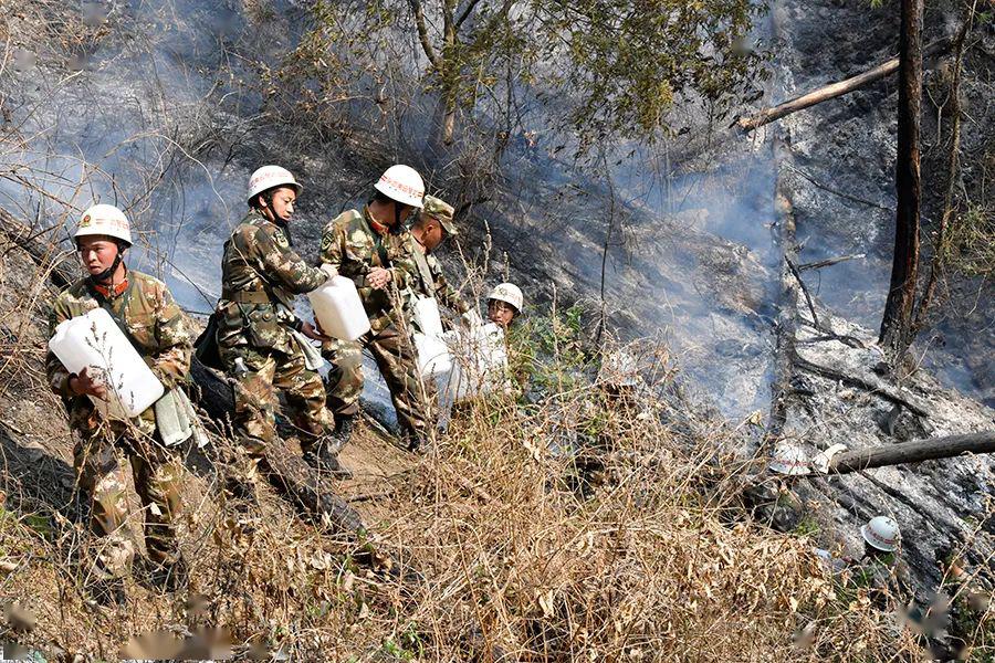 兄弟们上武警官兵紧急扑救云南香格里拉森林大火