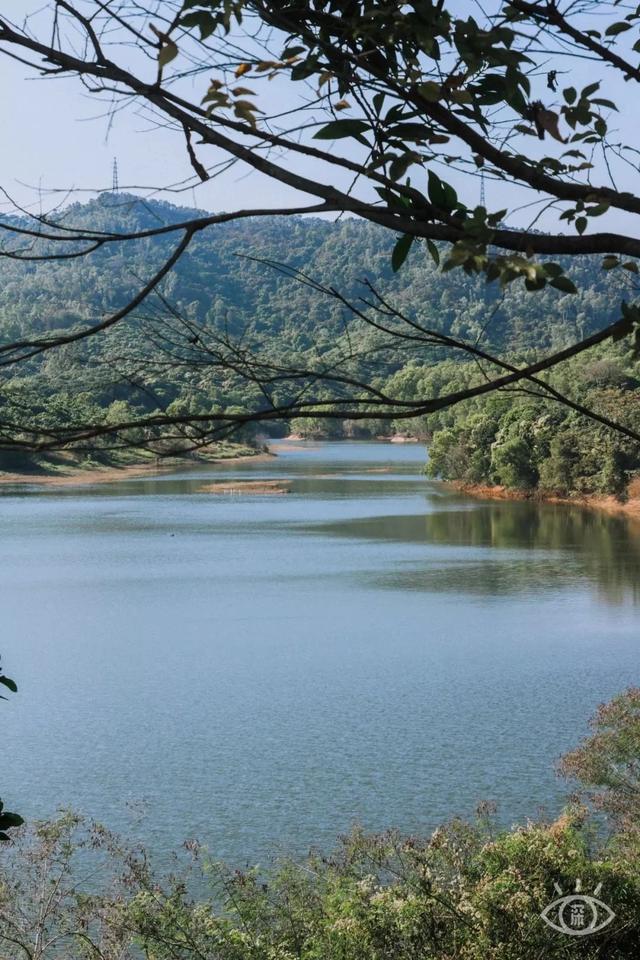 龍華環城綠道 | 途徑大水坑水庫Ξ 梅林綠道 | 日系風綠道Ξ 大沙河