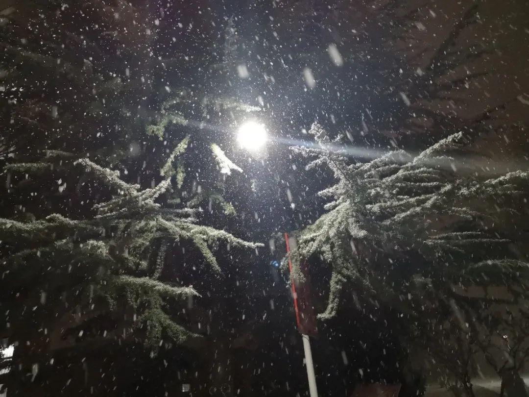 离开山商前最后一张照片你记录了什么