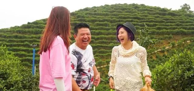 《我爱返寻味》"舅父新"带队的由南方卫视著名节目主持人