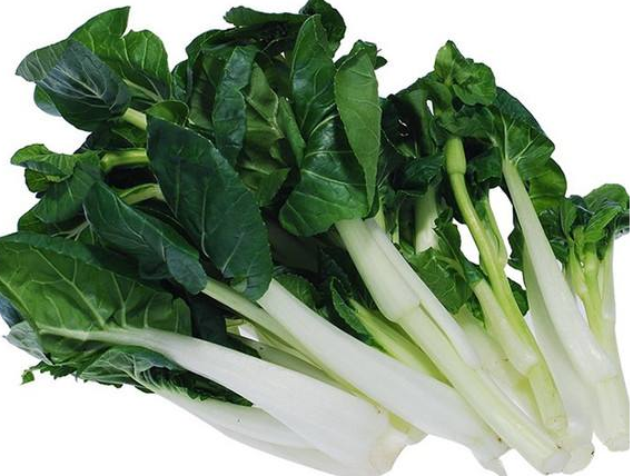 简单易管理的奶油白菜