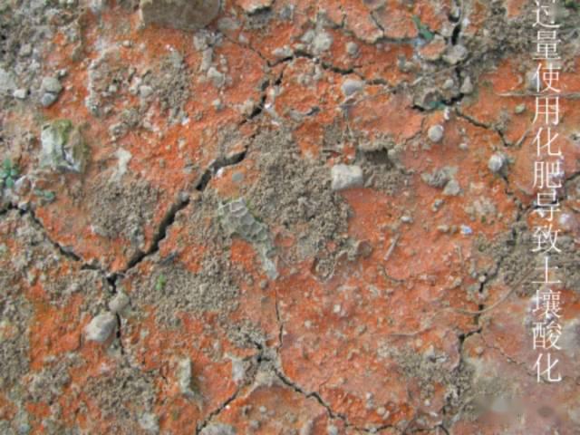 土壤酸化的危害和改良办法