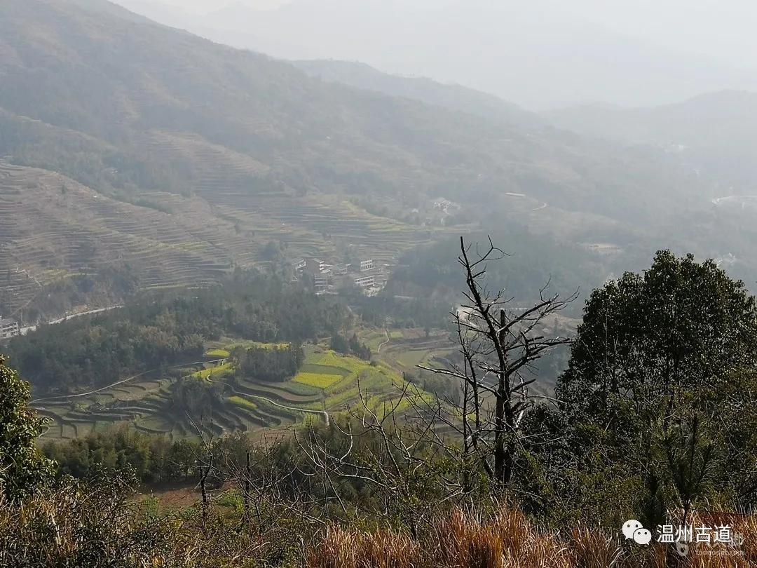 温州瑞安黄金坳古村蒙东岭古道环线穿越风景如画