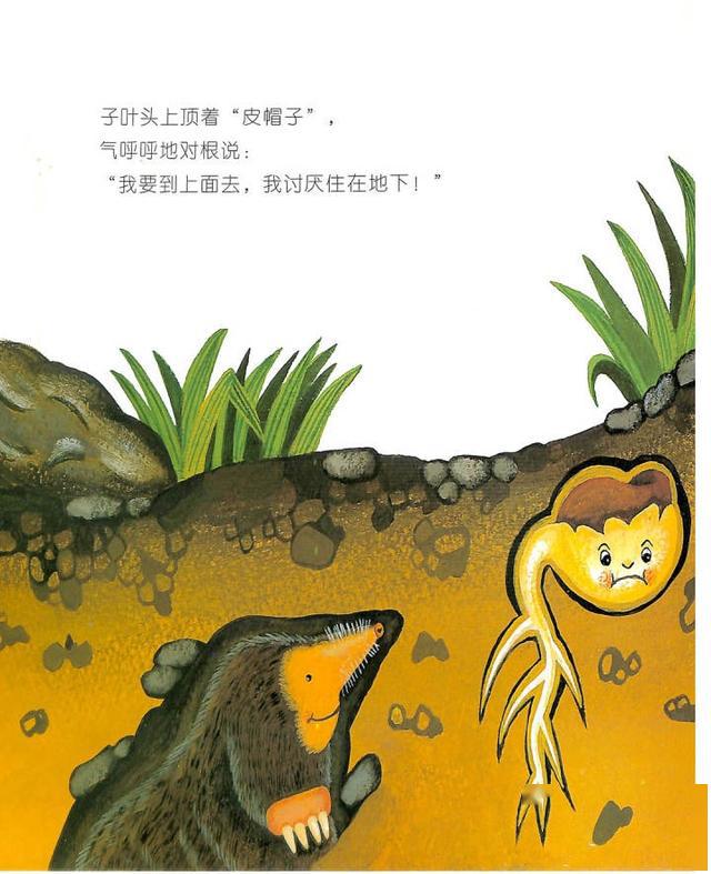 有声绘本故事《咕咚咕咚,种子喝水》