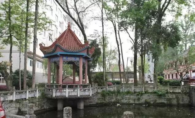 区县解读忠县拔山中学中央财政直接补助1000万元